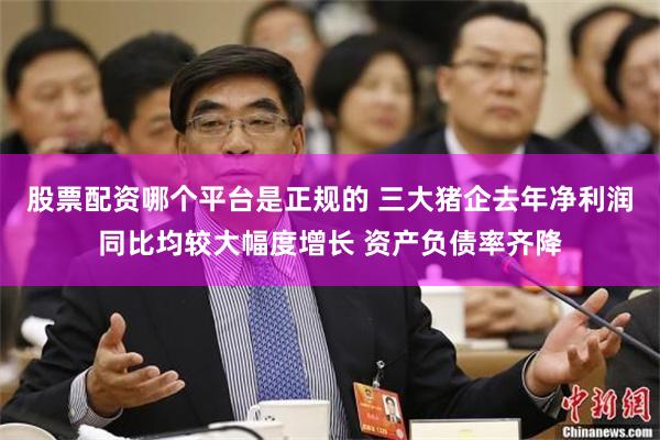 股票配资哪个平台是正规的 三大猪企去年净利润同比均较大幅度增长 资产负债率齐降