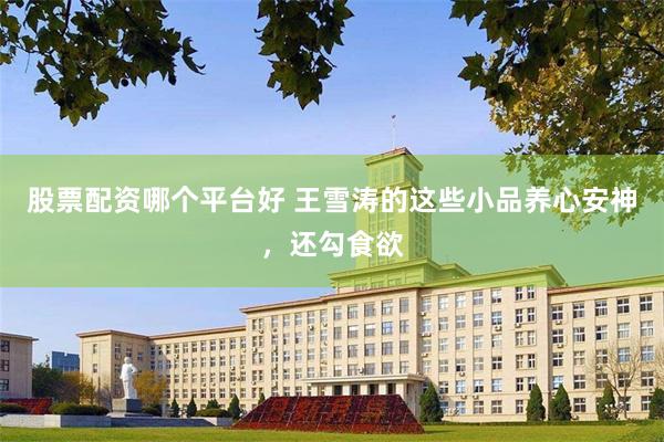 股票配资哪个平台好 王雪涛的这些小品养心安神，还勾食欲