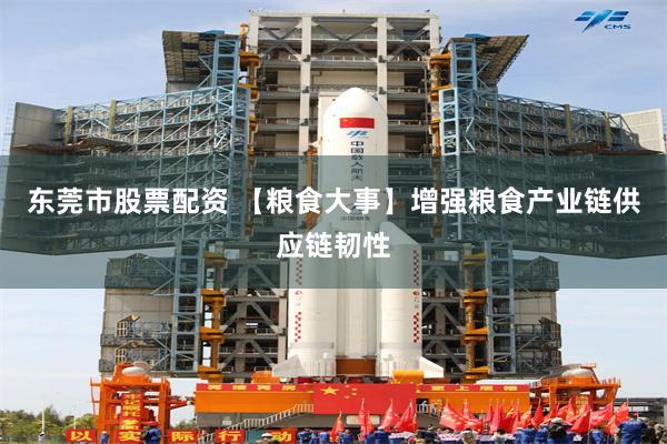 东莞市股票配资 【粮食大事】增强粮食产业链供应链韧性