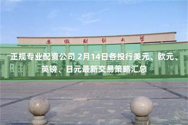 正规专业配资公司 2月14日各投行美元、欧元、英镑、日元最新交易策略汇总