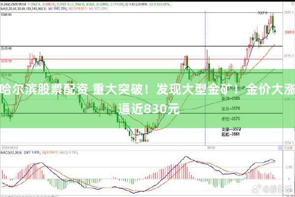 哈尔滨股票配资 重大突破！发现大型金矿！金价大涨 逼近830元