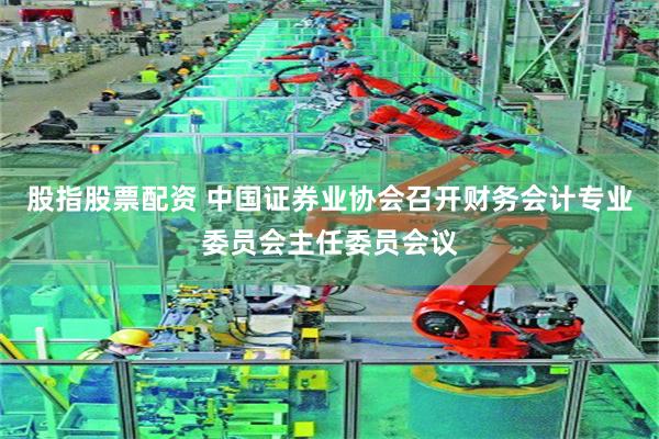 股指股票配资 中国证券业协会召开财务会计专业委员会主任委员会议