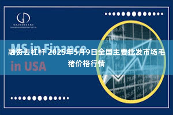 融资去杠杆 2025年5月9日全国主要批发市场毛猪价格行情