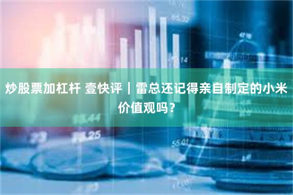 炒股票加杠杆 壹快评｜雷总还记得亲自制定的小米价值观吗？