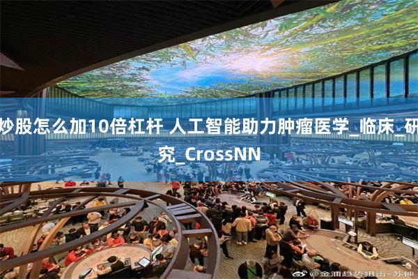炒股怎么加10倍杠杆 人工智能助力肿瘤医学_临床_研究_CrossNN