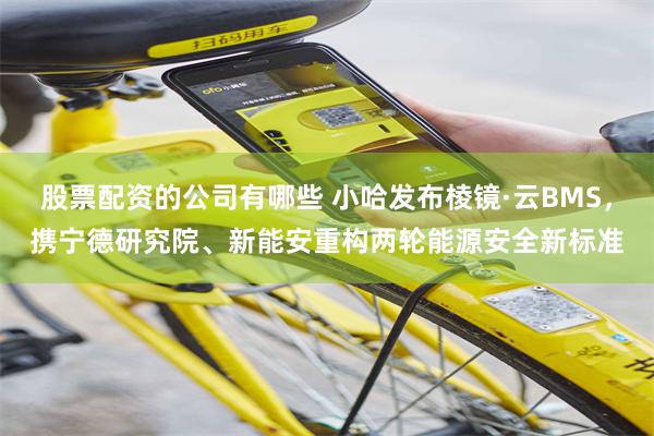股票配资的公司有哪些 小哈发布棱镜·云BMS，携宁德研究院、新能安重构两轮能源安全新标准