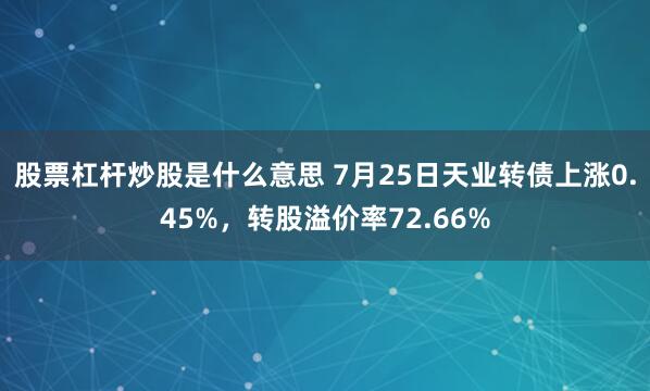 股票杠杆炒股是什么意思 7月25日天业转债上涨0.45%，转股溢价率72.66%