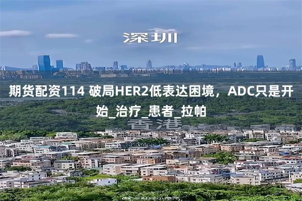 期货配资114 破局HER2低表达困境，ADC只是开始_治疗_患者_拉帕
