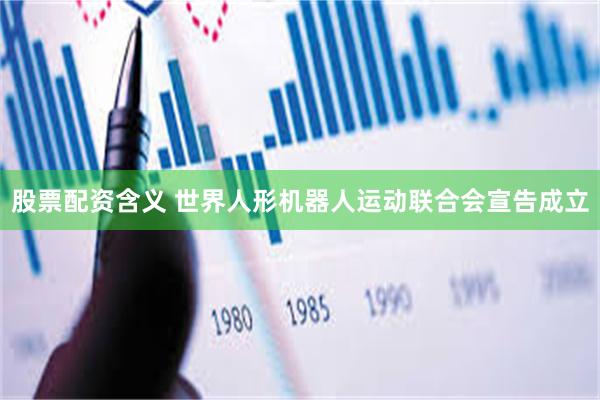 股票配资含义 世界人形机器人运动联合会宣告成立