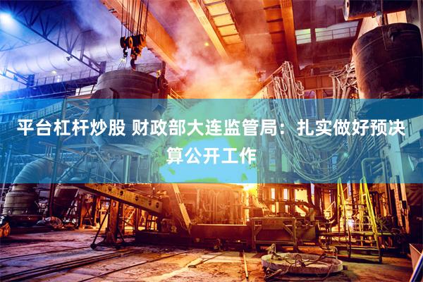 平台杠杆炒股 财政部大连监管局：扎实做好预决算公开工作